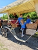 IMG-20250601-WA0114