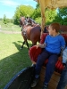 IMG-20250601-WA0122