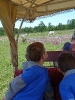 IMG-20250601-WA0125