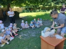 Pszczółki odwiedzają Alpaki 23.06.2026