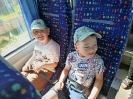 Pszczółki odwiedzają Alpaki 23.06.2026