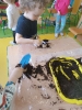 Sadzenie w grupie Smerfy - 20.03.2026