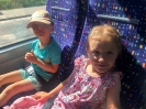 Smerfy odwiedzają Alpaki 24.06.2026