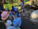 Smerfy odwiedzają Alpaki 24.06.2026