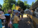 Smerfy odwiedzają Alpaki 24.06.2026