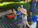 Smerfy odwiedzają Alpaki 24.06.2026