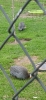 20260520_101956