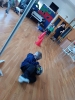 IMG-20260506-WA0017