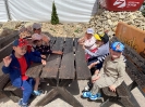 Wycieczka do Bałtowa - grupy Tygryski i Biedronki 28.05.2026r.