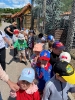 Wycieczka do Bałtowa - grupy Tygryski i Biedronki 28.05.2026r.