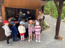 Wycieczka do Bałtowa - grupy Tygryski i Biedronki 28.05.2026r.