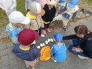 IMG-20260530-WA0061