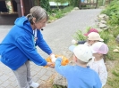 IMG-20260530-WA0065