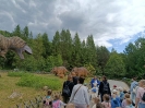 IMG-20260530-WA0112