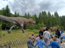 IMG-20260530-WA0113