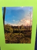 Wystawa fotograficzna - 