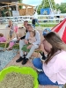 Zagroda Edukacyjna Wieś. Co - wycieczka Pszczółek z rodzicami 12.06.2026