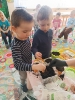 Zielony ogródek w sali Pszczółek 19.03.2026