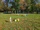 20261006_095549