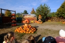 DSCF3727