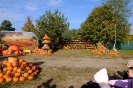DSCF3728
