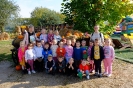 DSCF3742