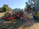 IMG-20260920-WA0005