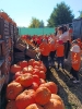 IMG-20260920-WA0014