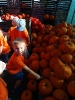 IMG-20260920-WA0022