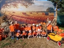 IMG-20260920-WA0041