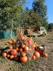 IMG-20260920-WA0047