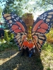 IMG-20260920-WA0050