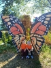 IMG-20260920-WA0054