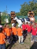 IMG-20260920-WA0061