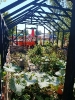 IMG-20260920-WA0074