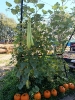 IMG-20260920-WA0092