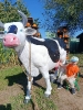 IMG-20260920-WA0096