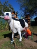 IMG-20260920-WA0100