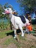 IMG-20260920-WA0102