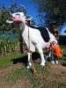 IMG-20260920-WA0103
