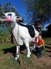 IMG-20260920-WA0107