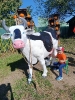 IMG-20260920-WA0108