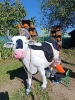 IMG-20260920-WA0109