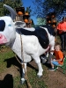 IMG-20260920-WA0110