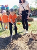 Tygryski na farmie Sołtysa 16.09.2026