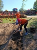 IMG-20260920-WA0151