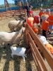IMG-20260920-WA0158