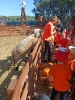 IMG-20260920-WA0162