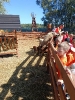 IMG-20260920-WA0165