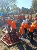 IMG-20260920-WA0171